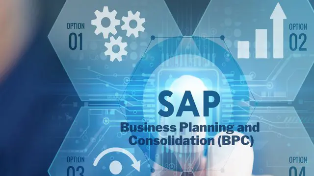 SAP BPC Modules: Core Components and Integration Explained